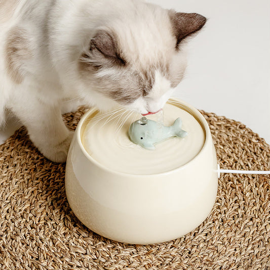 Cat Ceramic Automatic Circulation Filtration Water Dispenser